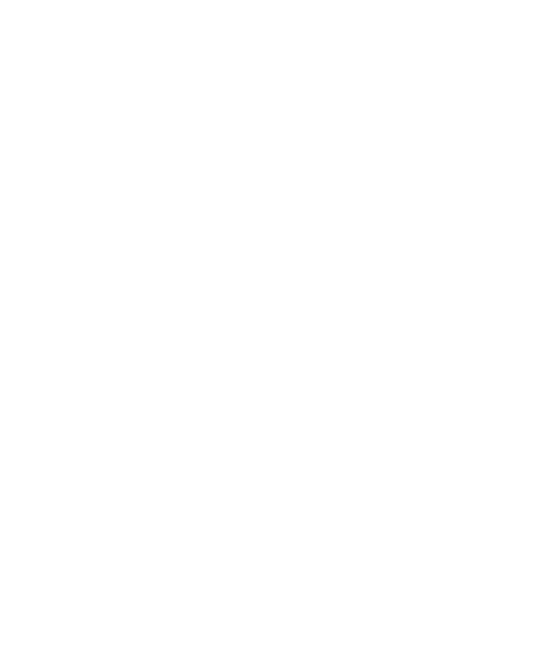 Borno AI Platform Logo
